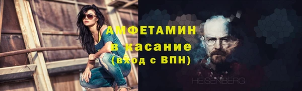 мдпв Каменка