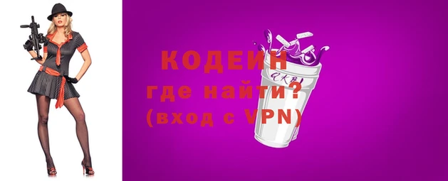 мдпв Каменка