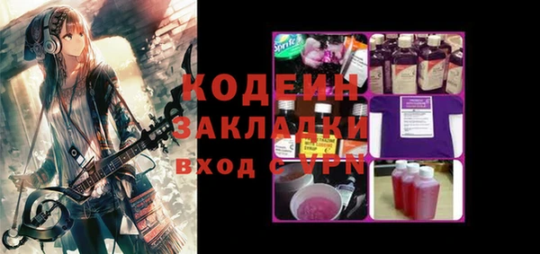 соль ск Каменногорск